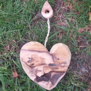 WhatsApp Image 2024-03-09 at 8.24.28 PM